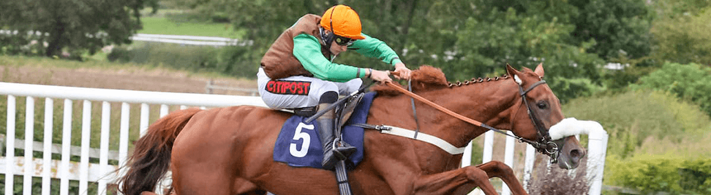 Horse and jockey jumping over fence