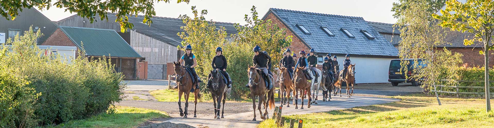horses being trained in the yard